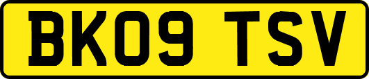 BK09TSV