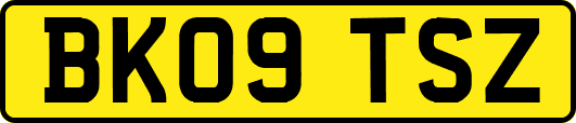 BK09TSZ