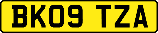 BK09TZA