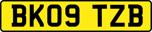BK09TZB