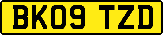 BK09TZD
