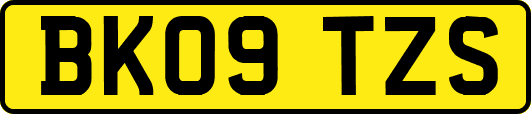 BK09TZS