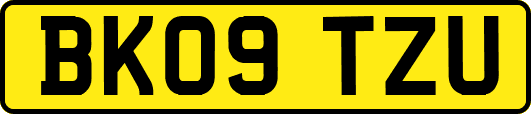 BK09TZU