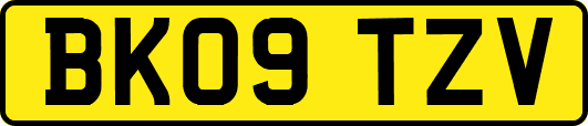 BK09TZV