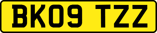 BK09TZZ