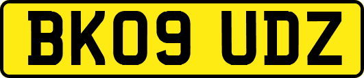 BK09UDZ