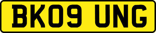 BK09UNG