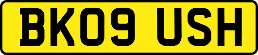 BK09USH