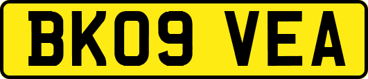 BK09VEA