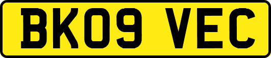 BK09VEC