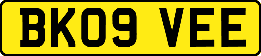 BK09VEE