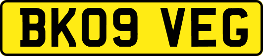 BK09VEG