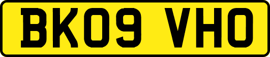BK09VHO