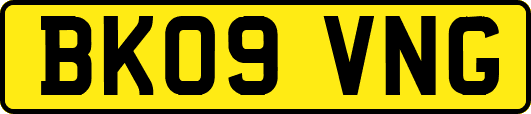 BK09VNG