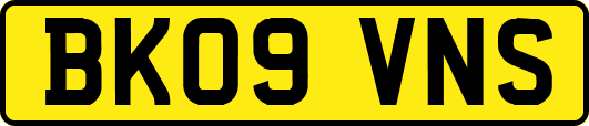 BK09VNS