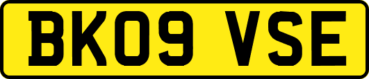 BK09VSE