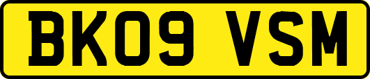 BK09VSM