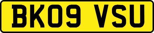 BK09VSU