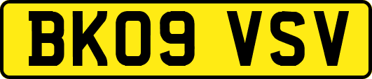 BK09VSV