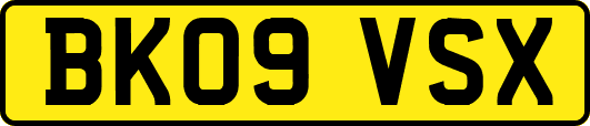 BK09VSX