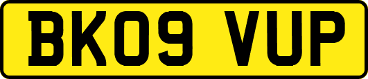 BK09VUP