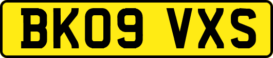 BK09VXS