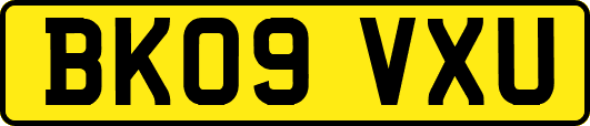 BK09VXU