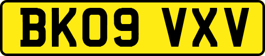 BK09VXV