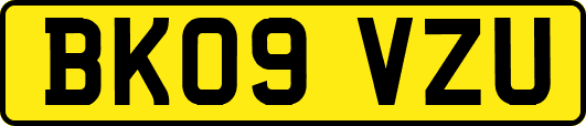 BK09VZU