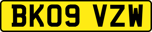 BK09VZW