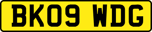 BK09WDG