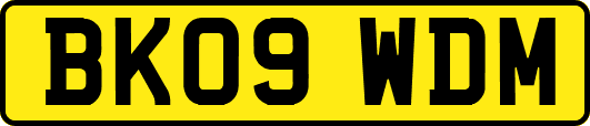 BK09WDM