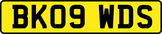 BK09WDS