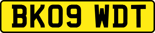 BK09WDT