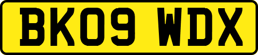 BK09WDX