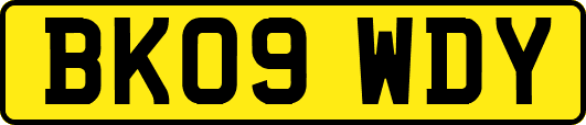 BK09WDY