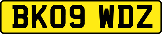 BK09WDZ
