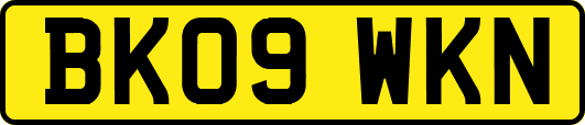 BK09WKN