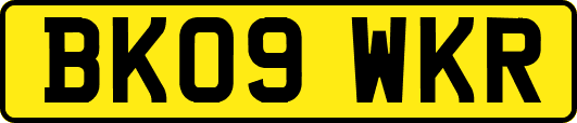 BK09WKR