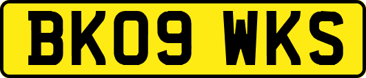 BK09WKS
