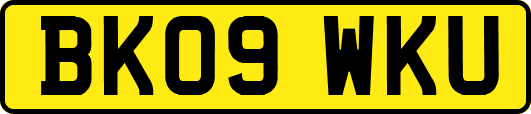 BK09WKU