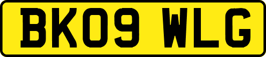 BK09WLG