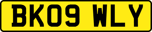 BK09WLY