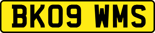 BK09WMS