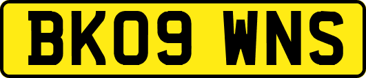 BK09WNS