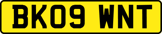 BK09WNT