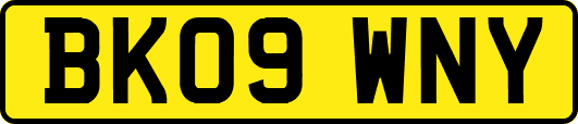 BK09WNY