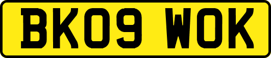 BK09WOK