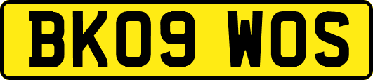 BK09WOS