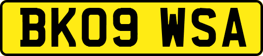 BK09WSA